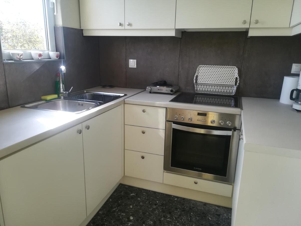 Apartment Blue Cielo Sunny Palaia Fokaia